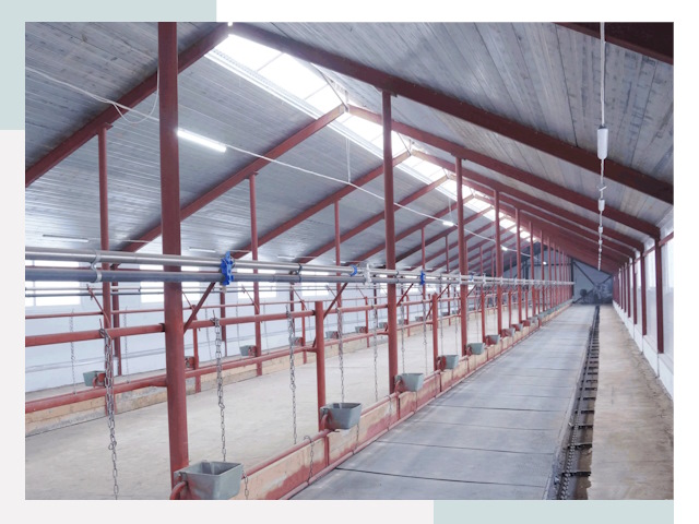 Строительство коровников в Борзе от 618 руб.