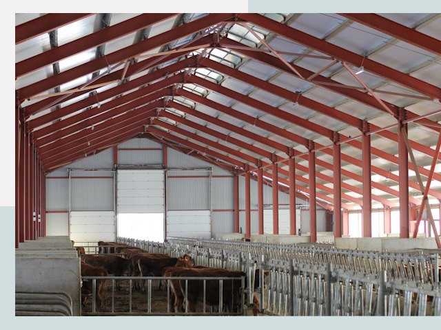 Строительство коровников в Борзе