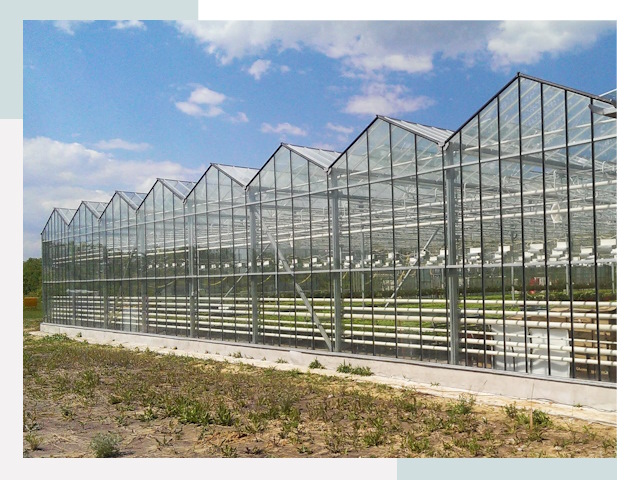 Строительство теплиц в Борзя от 618 руб. за м²